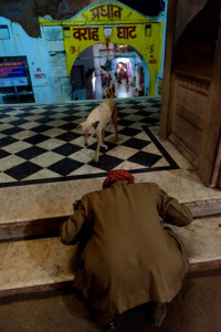 pushkar mela,subir basak photography,Pushkar fair