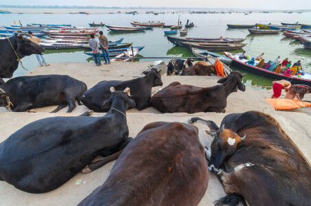 varanasi,photo gallery,subir basak photography