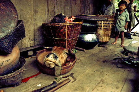 incredible india,photo gallery,miscellaneous