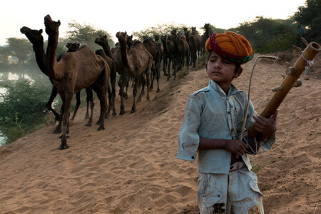 pushkar mela,subir basak photography,Pushkar fair
