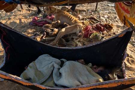pushkar mela,subir basak photography,Pushkar fair