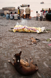 varanasi,photo gallery,subir basak photography