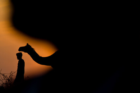 pushkar mela,subir basak photography,Pushkar fair